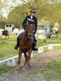 DSC08289 DSC08289