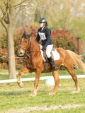DSC08295 DSC08295