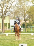 DSC08299 DSC08299