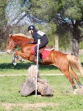 IMG_0010 IMG_0010