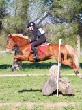 IMG_0011 IMG_0011