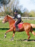 IMG_0015 IMG_0015