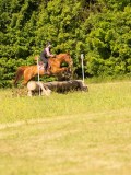 DSC09946 DSC09946