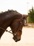 DSC05736 DSC05736