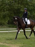 IMG_0941 IMG_0941