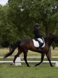 IMG_0943 IMG_0943