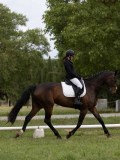 IMG_0944 IMG_0944