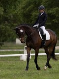 IMG_0946 IMG_0946