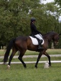 IMG_0947 IMG_0947