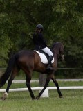 IMG_0948 IMG_0948
