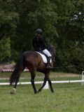 IMG_0949 IMG_0949