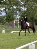 IMG_0951 IMG_0951