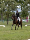IMG_0952 IMG_0952