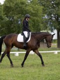 IMG_0957 IMG_0957