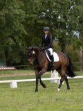 IMG_0958 IMG_0958