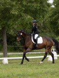 IMG_0959 IMG_0959