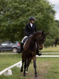 IMG_0960 IMG_0960