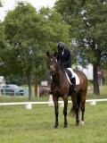 IMG_0962 IMG_0962