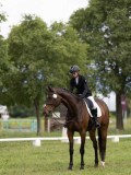 IMG_0963 IMG_0963
