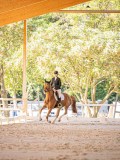 IMG_8635 IMG_8635