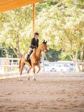 IMG_8636 IMG_8636