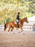 IMG_8637 IMG_8637