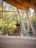 IMG_8652 IMG_8652
