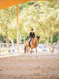 IMG_8658 IMG_8658