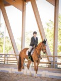 IMG_8669 IMG_8669