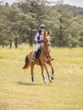IMG_9565 IMG_9565