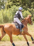 IMG_9569 IMG_9569