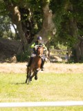 24_06037 24_06037