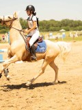 DSC00028 DSC00028