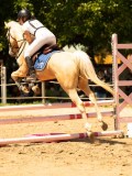DSC00029 DSC00029