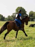 DSC00935