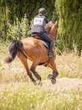 IMG_9576
