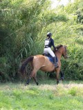 IMG_5386