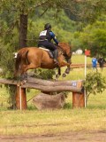 DSC07944 DSC07944