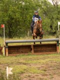 DSC07951 DSC07951