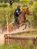 DSC07955 DSC07955