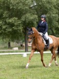 IMG_0968 IMG_0968