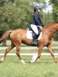 IMG_0970 IMG_0970