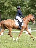 IMG_0971 IMG_0971