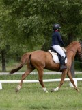 IMG_0973 IMG_0973