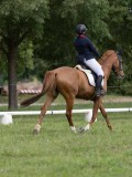 IMG_0974 IMG_0974