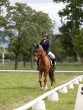 IMG_0975 IMG_0975