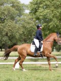 IMG_0979 IMG_0979