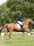 IMG_0980 IMG_0980