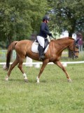 IMG_0981 IMG_0981