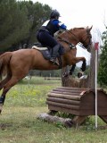 IMG_3095 IMG_3095